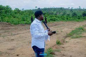 Mbraiz Nexus City
