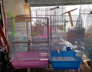 Parrot Birds Cages Are Available