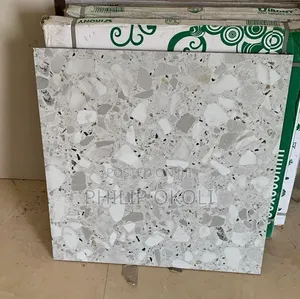 Grey Shade Terrazo 60x60 Rustic Tiles