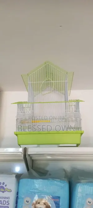 Imported Fancy Parrot Birds Cages