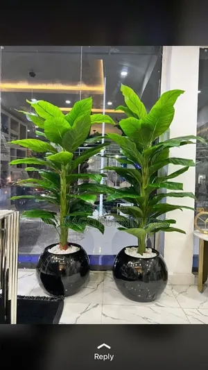 Planted Flower