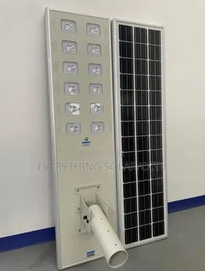 100w Solar Street Light Wakatec