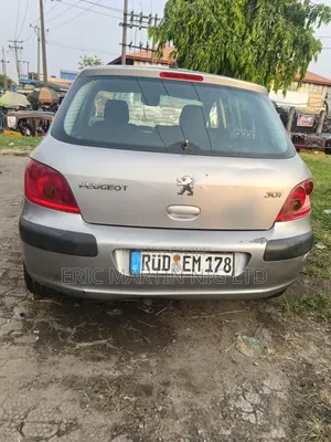 Peugeot 307 2005 Silver