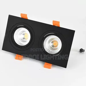 Double Spotlight Downlight