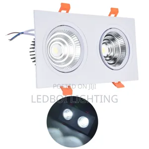 Double Spotlight Downlight