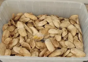 Mango Seeds Per Ton