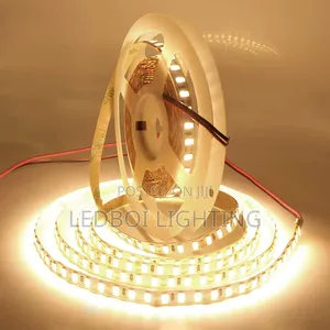 SMD Strip Light (24v)