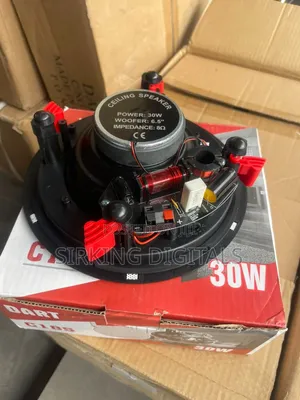 Dart 30watts Ceiling Speaker Crossover Flawless