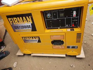 Industrial Grade Firman Sdg12000se Diesel Generator