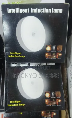 Intelligent Induction Lamp (Motion Sensor Light)