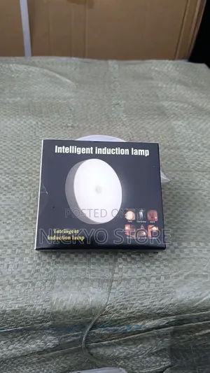 Intelligent Induction Lamp (Motion Sensor Light)