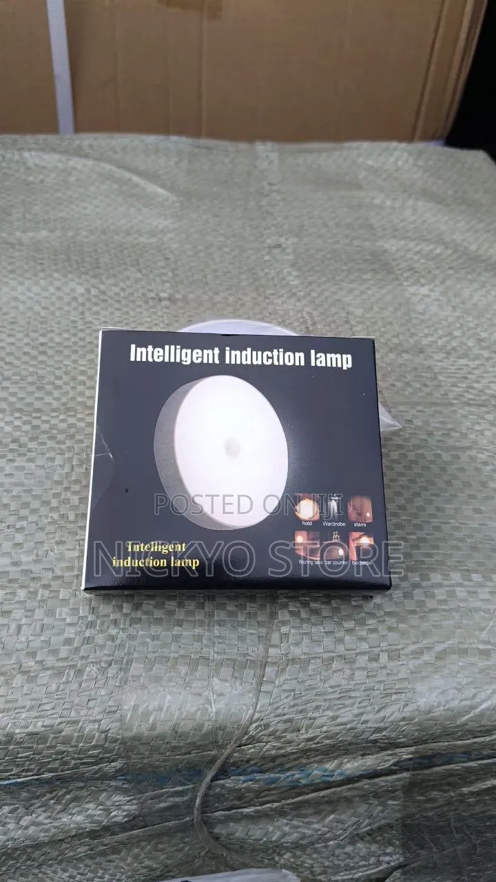 Intelligent Induction Lamp (Motion Sensor Light)