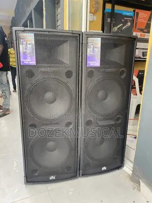 Stage King Tt55 Full Range Speaker