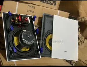 Cinema in Wall Speaker
