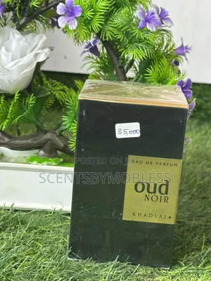 Oud Noir Perfumes.