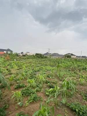 Distress Sale 2 Plots of Land With Constant Electricity Security