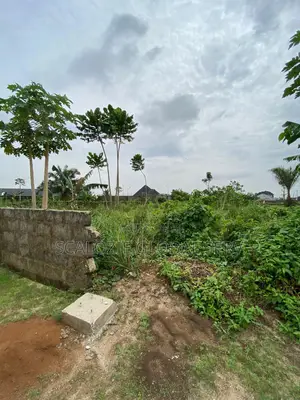 Standard 1 Plot Of Land With Constant Electricity And Secured Estate