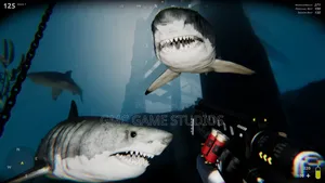 Death in the Water 2