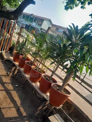 Gardens, Beautification, and Landscape.