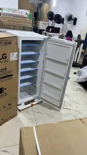 Lg 168l Freezer Gn-304sqbr – Efficient Food Preservation Freezer