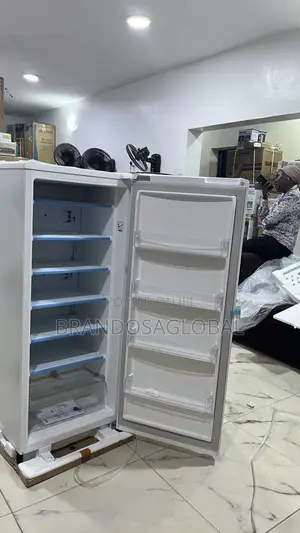 Lg Freezer 168l Gn-304sqbr – Large Storage Cooling Appliance
