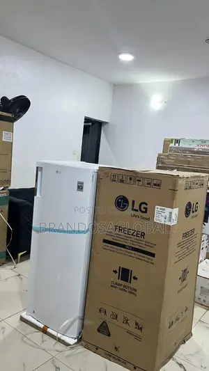 Lg Freezer 168l Gn-304sqbr – Reliable Door Freezer