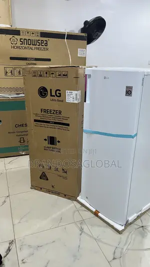Lg Freezer 168l Gn-304sqbr – Durable Storage Appliance