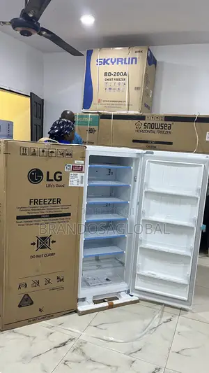 Lg Freezer 168l Gn-304sqbr – Premium Cooling System Appliance