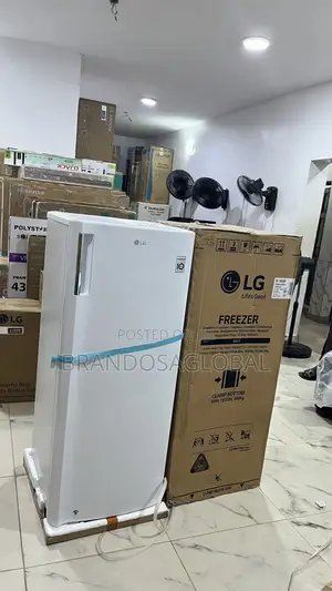 Lg Freezer Gn-304sqbr 168l - Household Freezer Unit