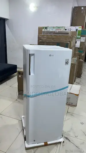Lg Freezer Gn-304sqbr 168l - Balanced Performance