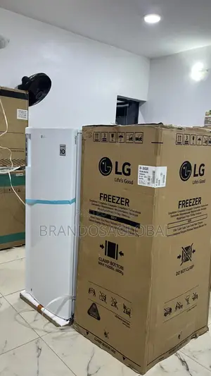 Lg Freezer Gn-304sqbr 168l -Long-Term Use