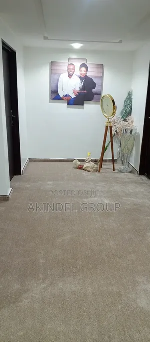 Vip Quality Rug in Abuja