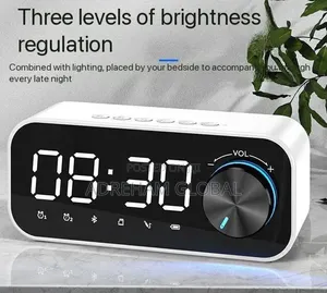 Multifunctional Rechargeable Base-heavy Bluetooth Speaker With Radio