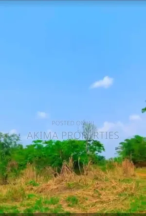 Acres of Land for Sell (Over 200) Farmlands