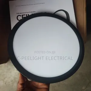 Single Color Warm Light Ceiling Light