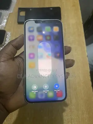 Apple iPhone 12 Pro Max 256 GB Silver