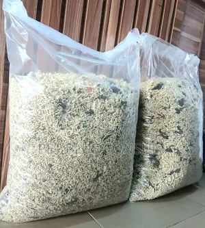 Pet Fish Noodles