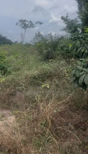 Cheap Land for Sale