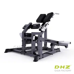 A627 45 Degree Hip Extension (Dhz Fitness Brand)