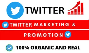Twitter Boost Promotion