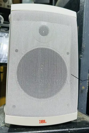 Professional JBL Outdoor Speaker