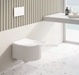 White Lined Wall Mount Concealed W C Water Closet 