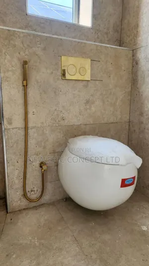 Wall Hung Toilet Seat With Gold Button and Complete Accessories