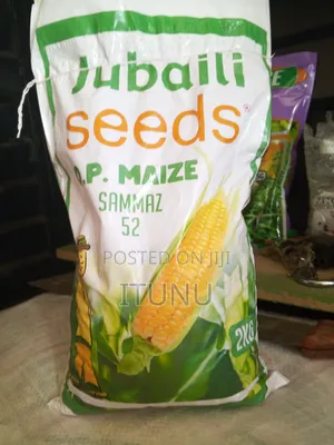 Quality Maize Seeds 2kg