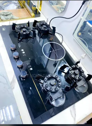 Hybrid Gas Cooker