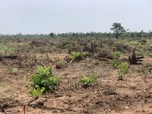 205plots at Umuapu for Sale
