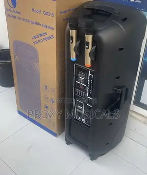 Grace Sound Double 15” Pa System