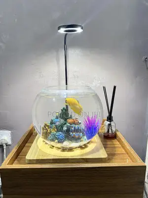 Table Top Aquarium With Light