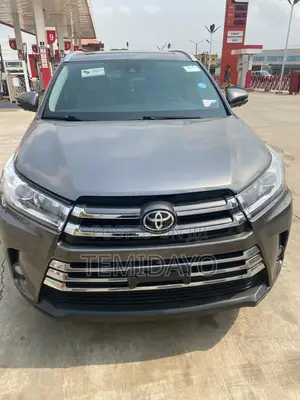 Toyota Highlander Limited Platinum 2019 Gray