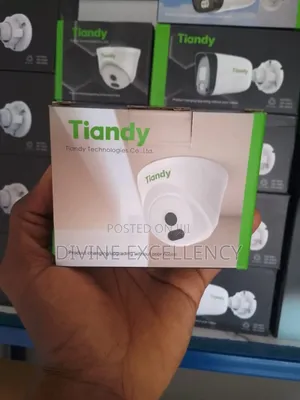 Tiandy 2mp Ip Indoor Dome CCTV Camera